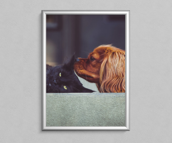 Artículo sin título